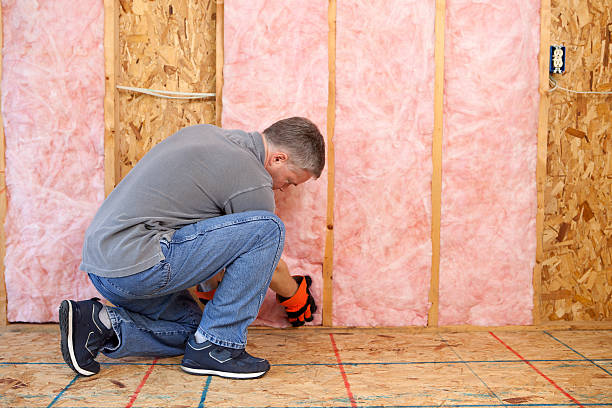 Best Fiberglass Insulation  in New Stanton, PA